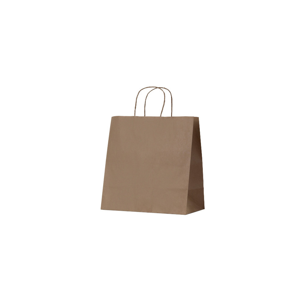 Paper Bag Brown Twist Handle Medium 305 x 305 x 170mm 250/carton
